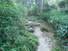 P9204013_thumb.png