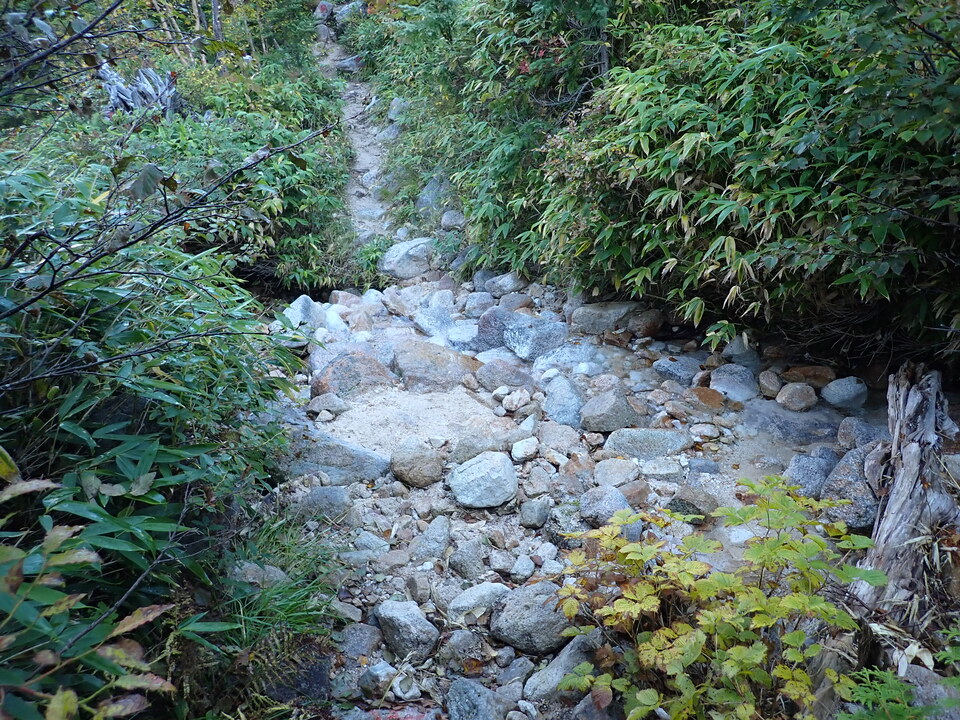 P9204014_mid.jpg