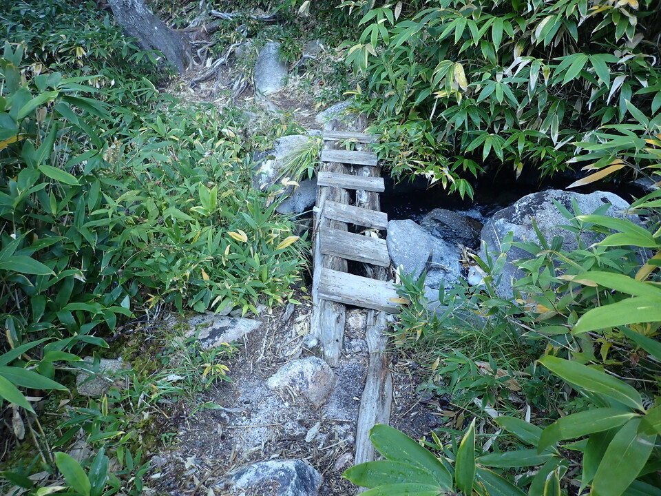 P9204016_mid.jpg