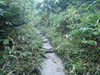 P9204017_thumb.png