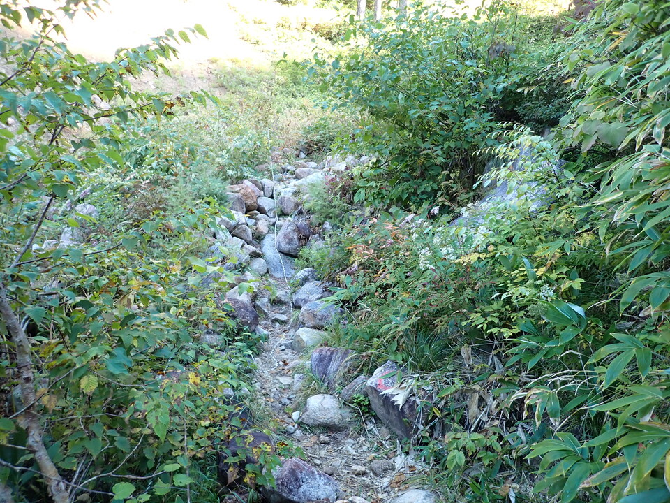 P9204019_mid.jpg