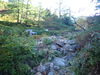 P9204020_thumb.png