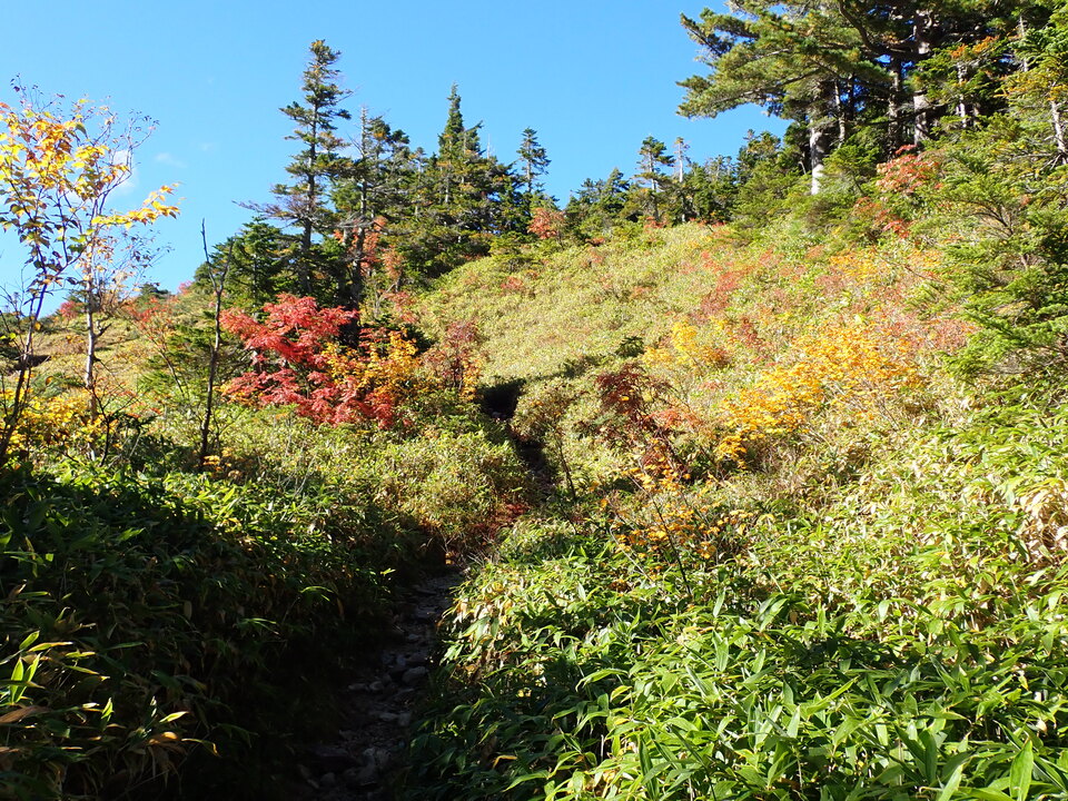 P9204040_mid.jpg