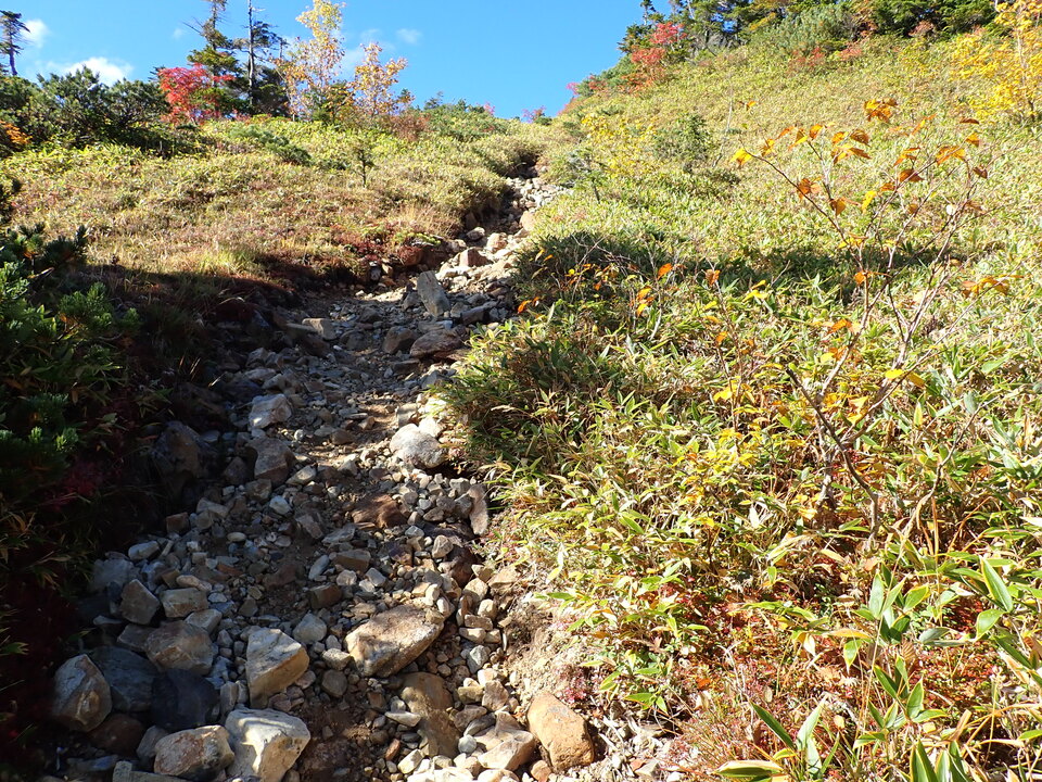 P9204041_mid.jpg