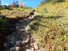 P9204041_thumb.png