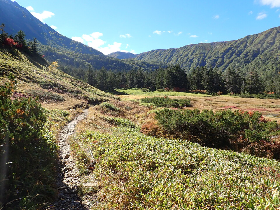 P9204047_mid.jpg