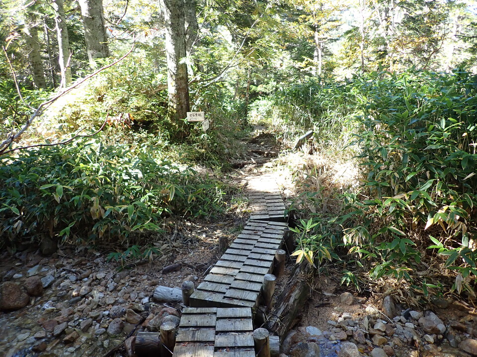 P9204048_mid.jpg