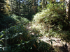P9204050_thumb.png