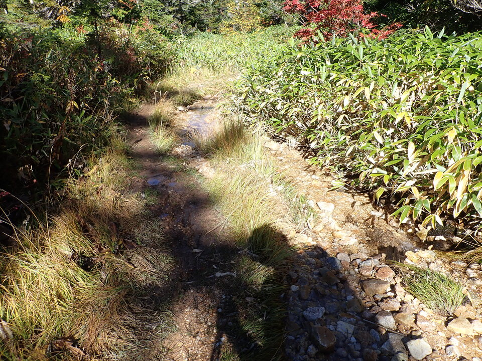 P9204052_mid.jpg