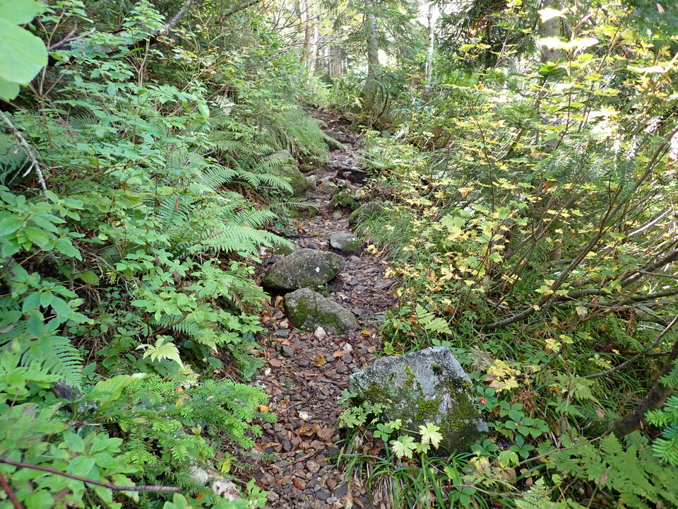 P9204055_mid.jpg