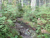 P9204057_thumb.png