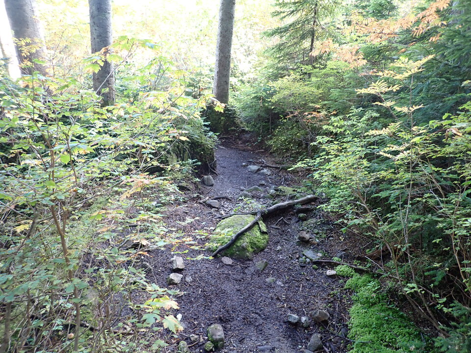 P9204059_mid.jpg