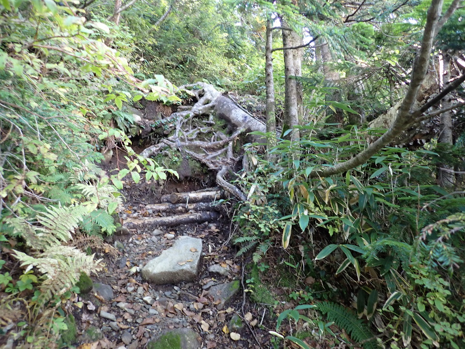 P9204063_mid.jpg