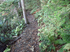 P9204064_thumb.png