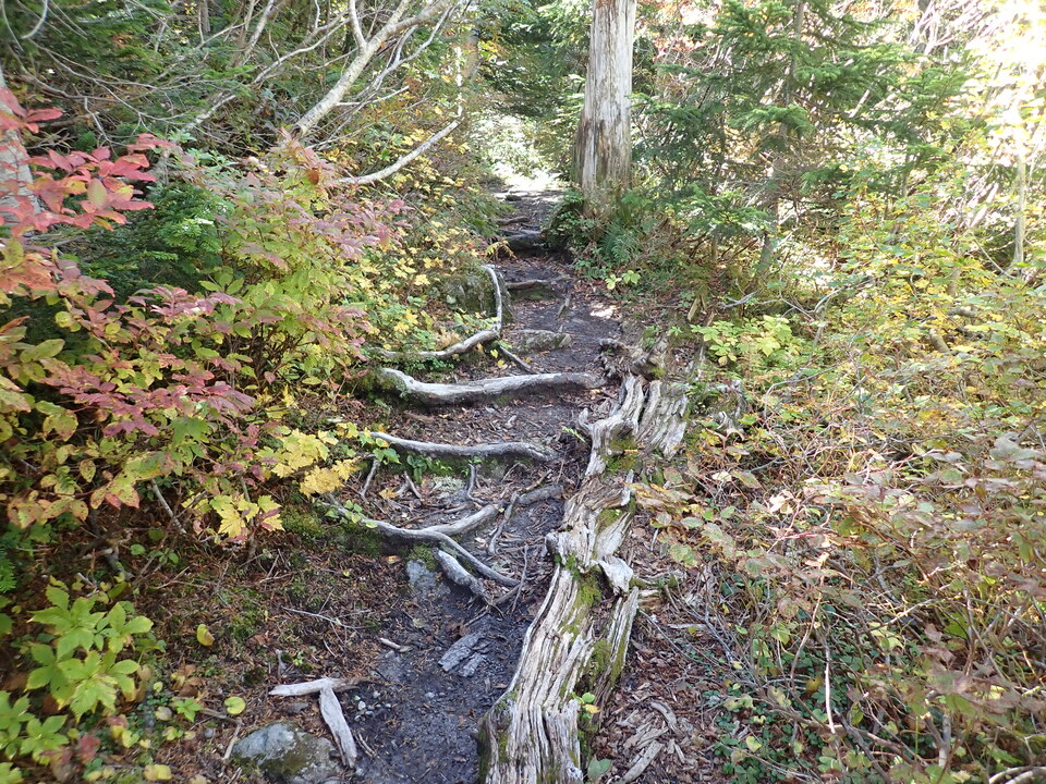 P9204065_mid.jpg