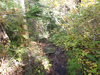 P9204066_thumb.png