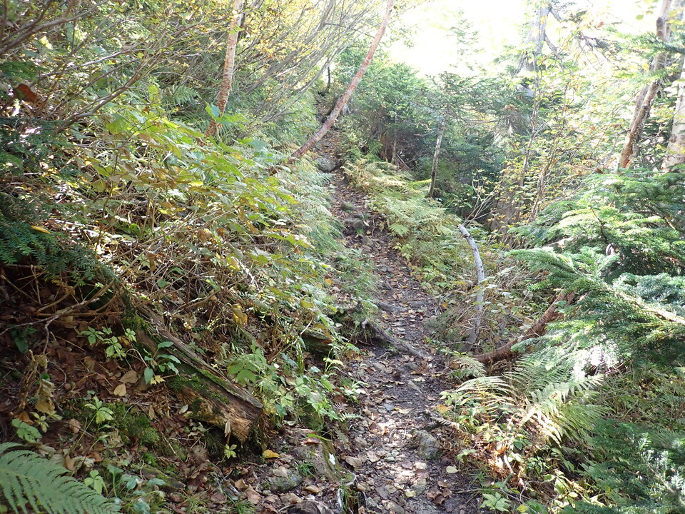 P9204067_mid.jpg