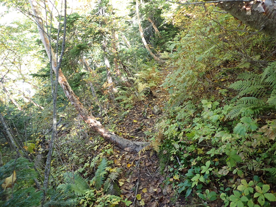 P9204068_mid.jpg