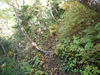 P9204068_thumb.png