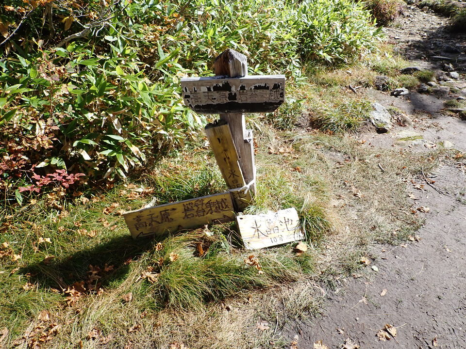 P9204069_mid.jpg