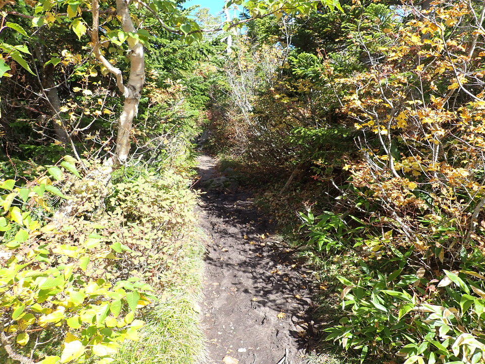 P9204072_mid.jpg