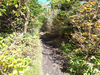 P9204072_thumb.png