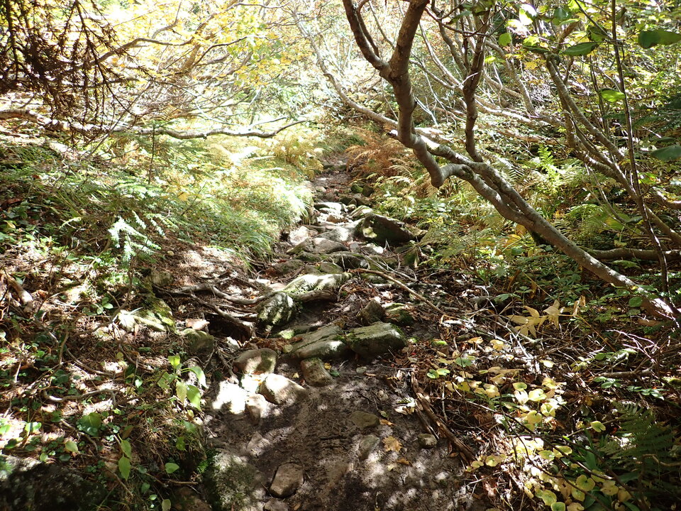 P9204073_mid.jpg