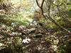 P9204073_thumb.png