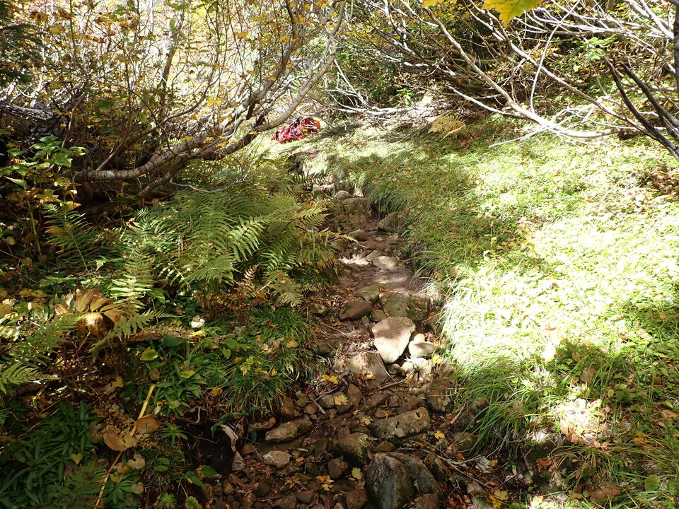 P9204074_mid.jpg