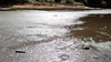 P9204080_thumb.png