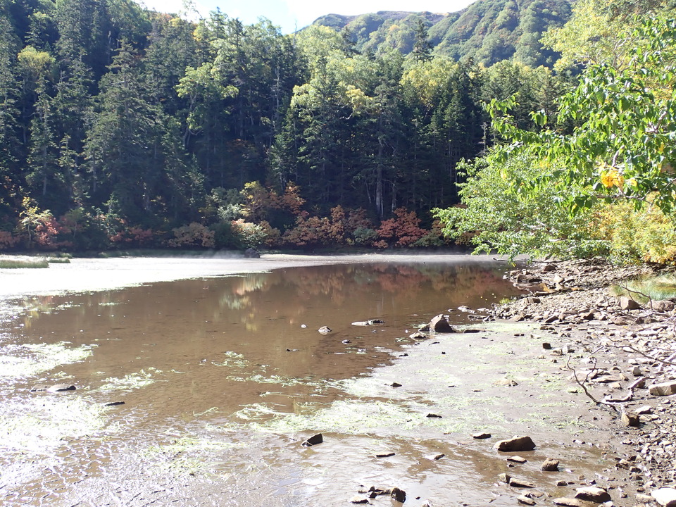 P9204086_mid.jpg