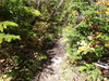 P9204090_thumb.png