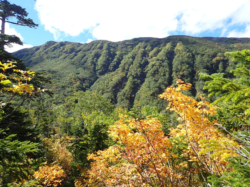 P9204094_mid.jpg
