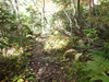 P9204098_thumb.png