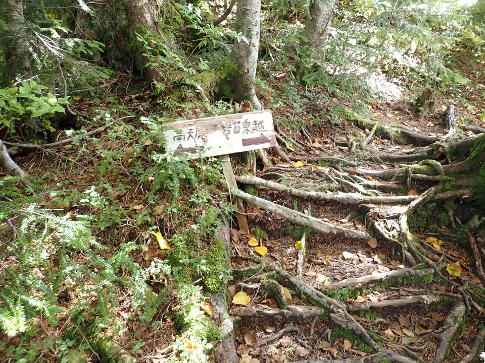 P9204099_mid.jpg