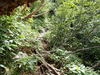 P9204102_thumb.png
