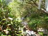 P9204105_thumb.png