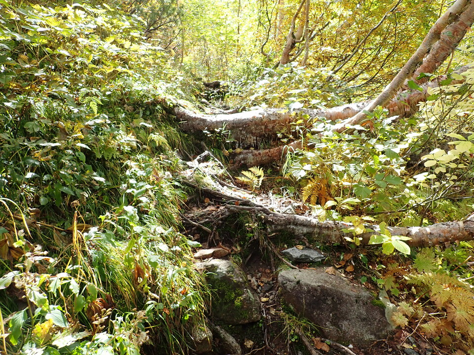 P9204107_mid.jpg