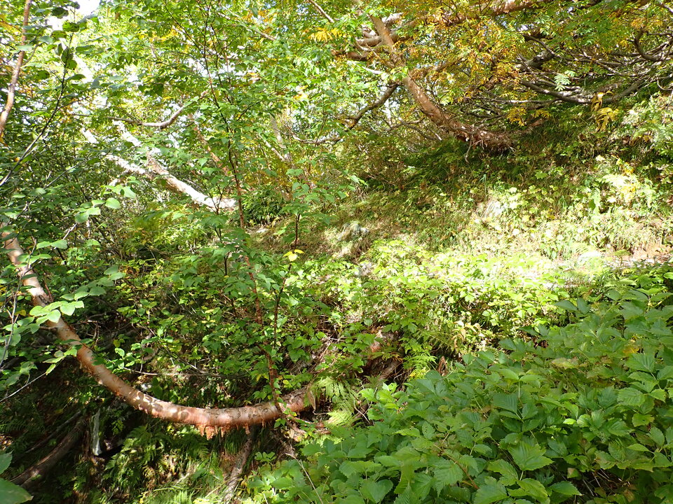 P9204108_mid.jpg