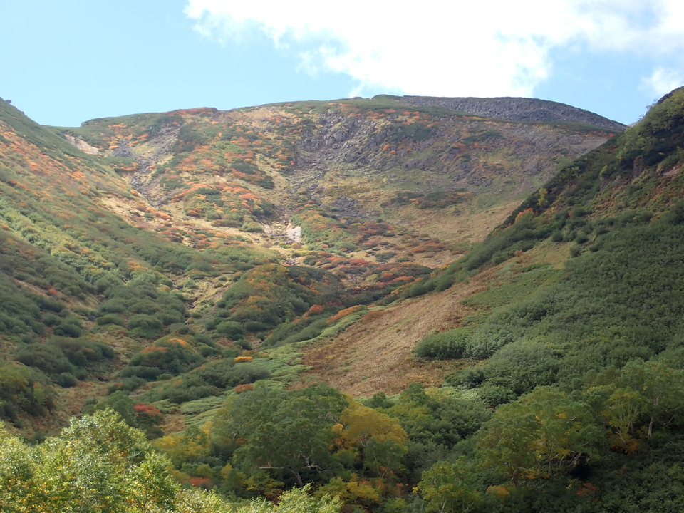 P9204113_mid.jpg
