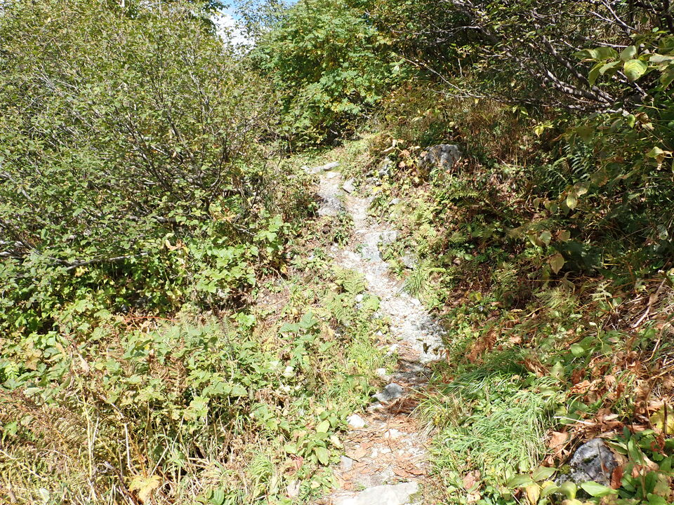 P9204115_mid.jpg