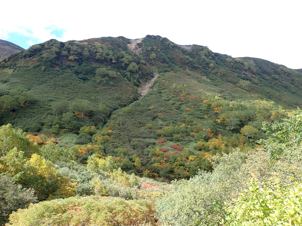 P9204116_mid.jpg