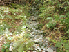 P9204117_thumb.png