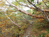 P9204120_thumb.png