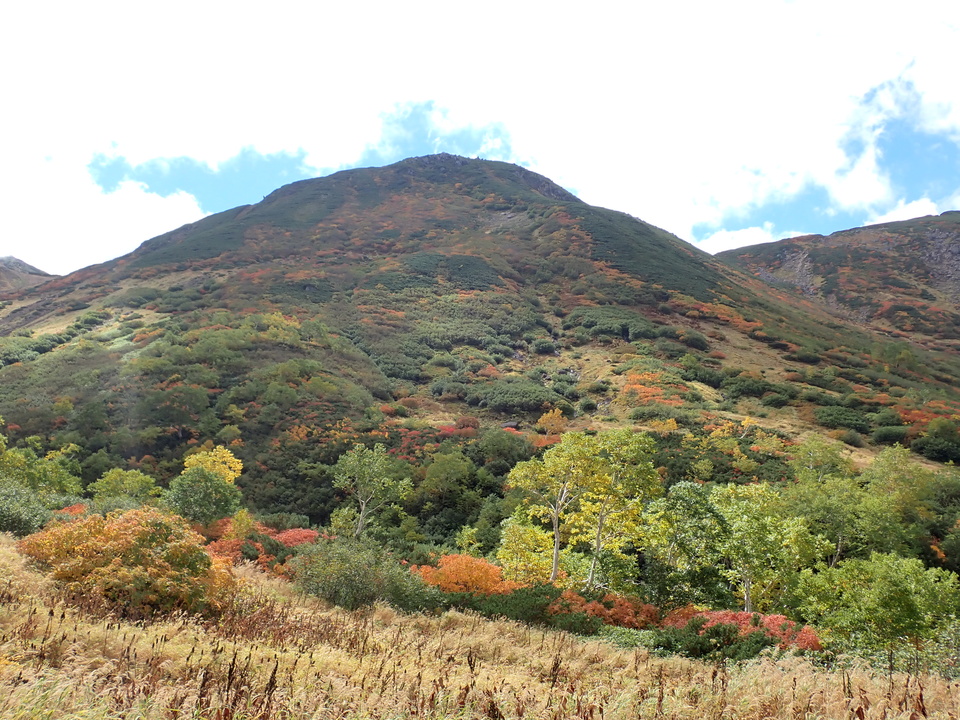 P9204124_mid.jpg