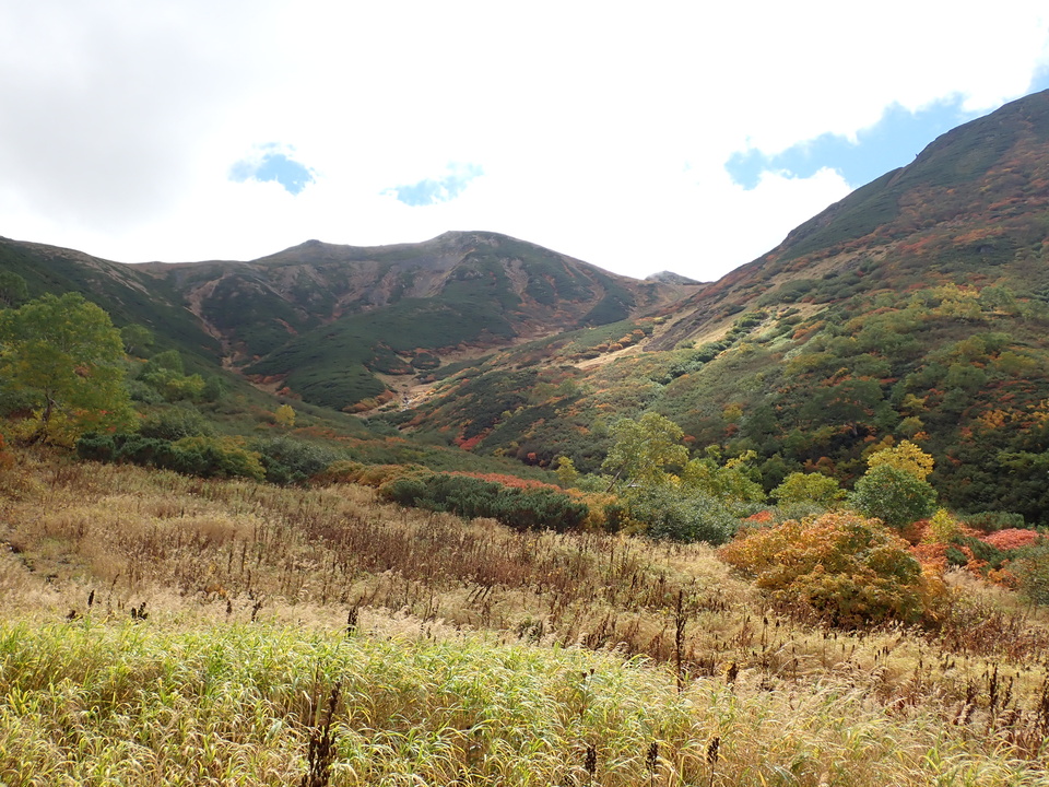 P9204126_mid.jpg