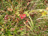 P9204131_thumb.png