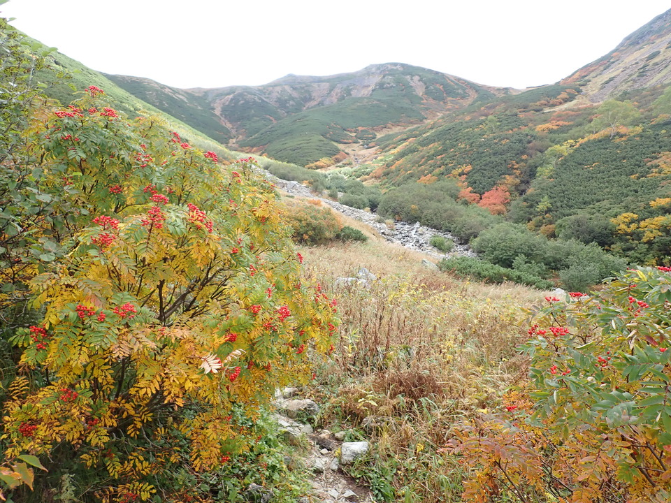 P9204136_mid.jpg