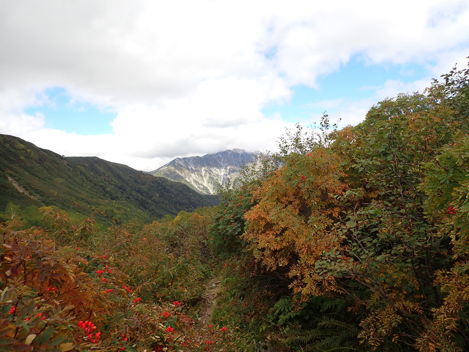 P9204139_mid.jpg