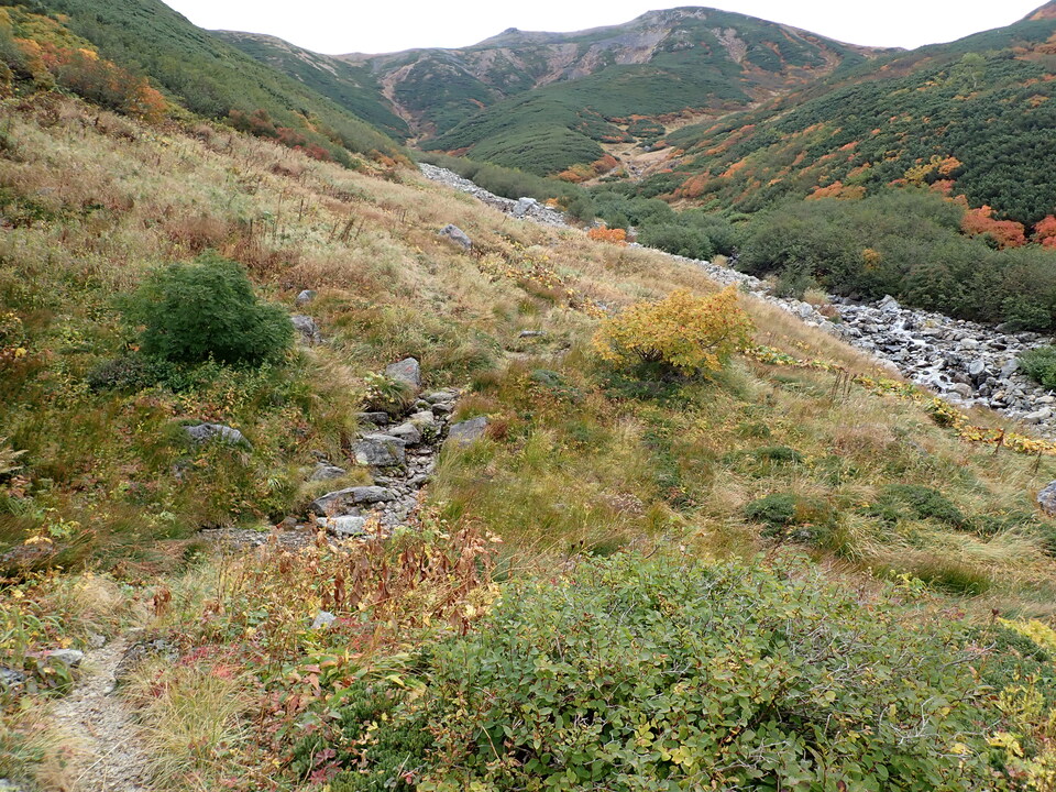 P9204140_mid.jpg